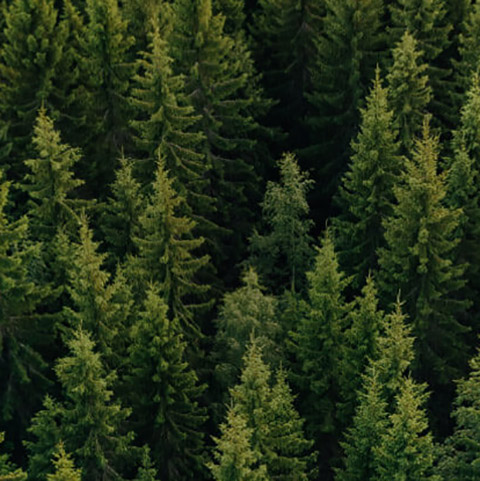 Learn more about Sustainability at Salesforce